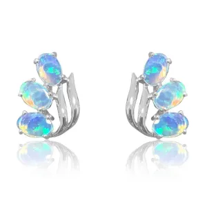 14kt White Gold 6 Opal earrings