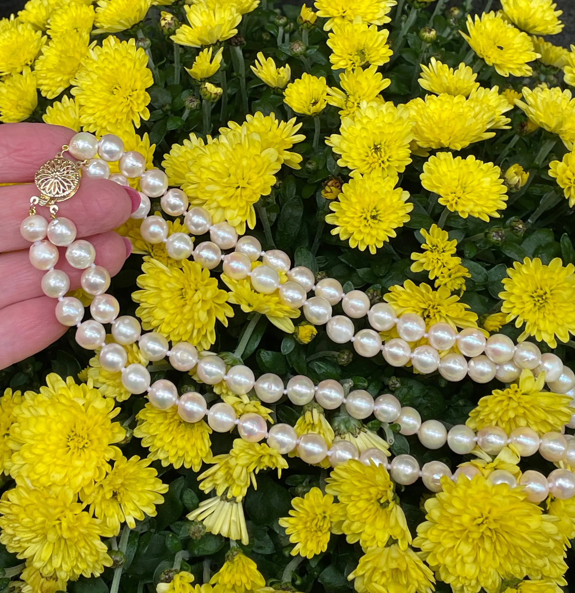 Classic Cultured Japanese PEARL 7.5mm White Double Strand Vintage NECKLACE 14k Gold